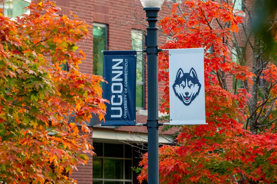 picture of uconn banner on a light post surrounded by autumn leaves